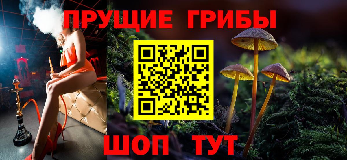 Псилоцибиновые грибы ЛСД Саратов